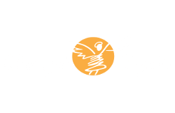 Hotel Angel Azul